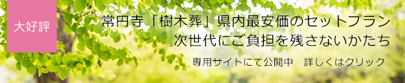 常円寺「樹木葬」